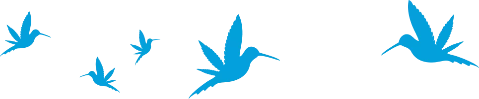 deep roots birds