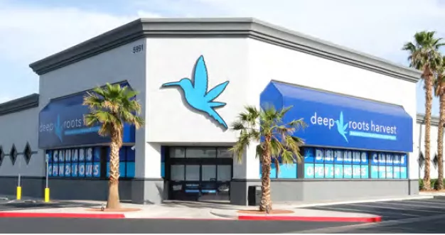 deep roots store front